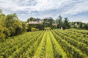 Franciacorta, Italy’s sparkling wine region