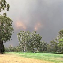 South Coast Bushfire Recovery Self Drive Golf Tour