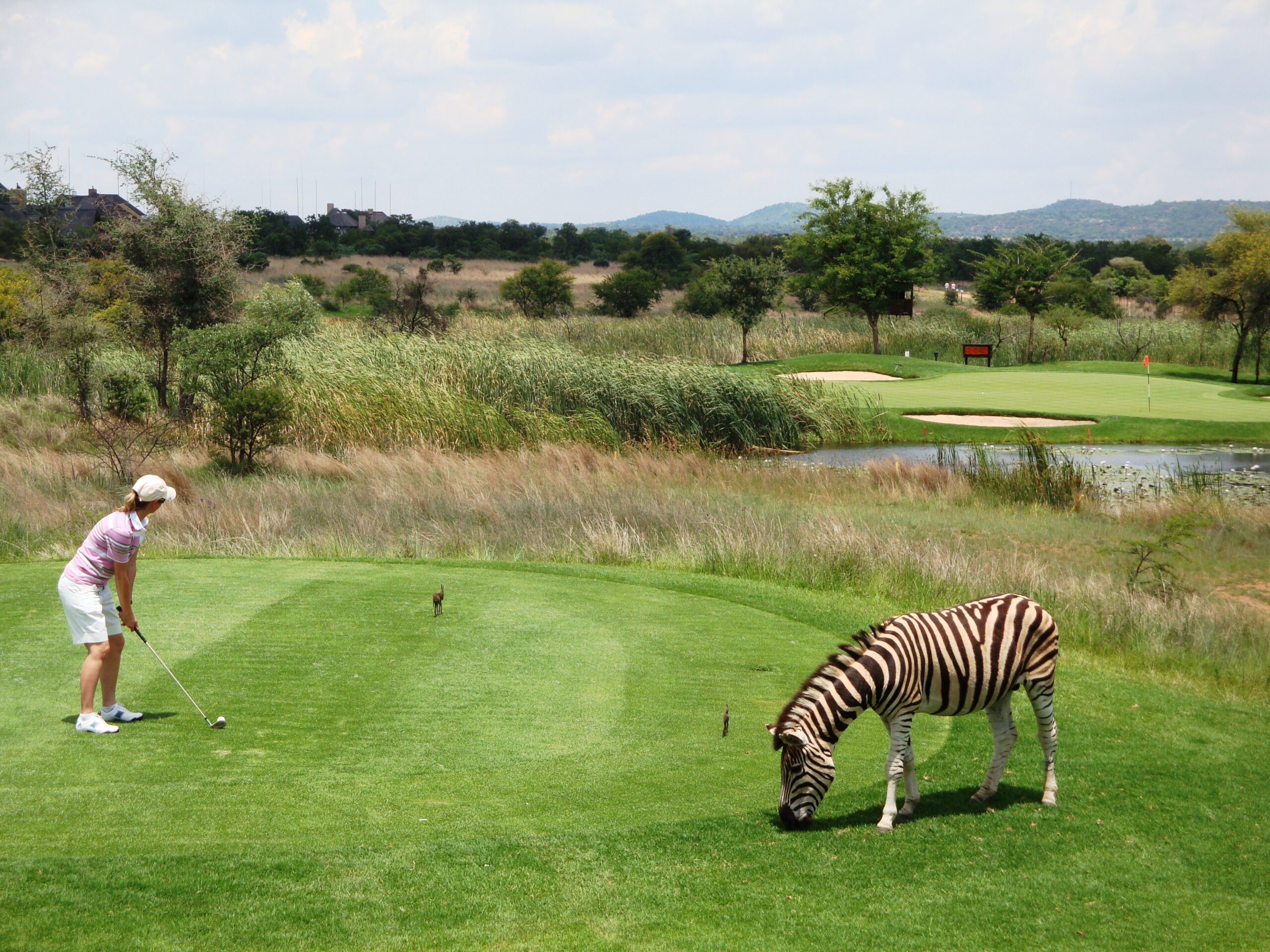 south africa safari golf course