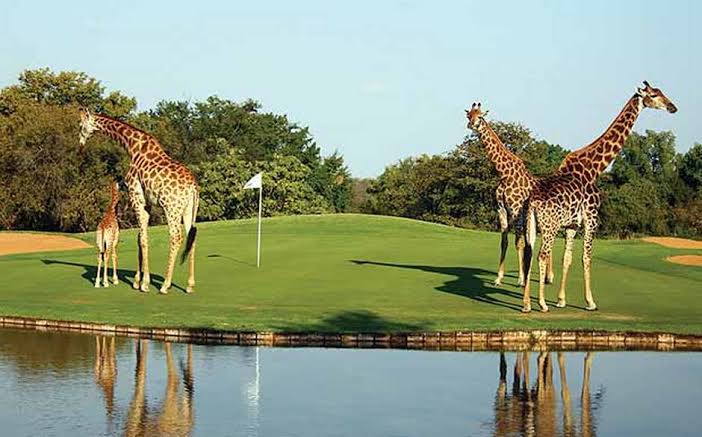 luxury travel Golf South Africa golf expereince