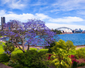 Sydney Golf Tour