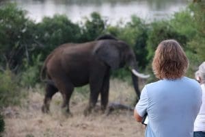 golf safari
golf south africa
South African Safari
Luxury vacation