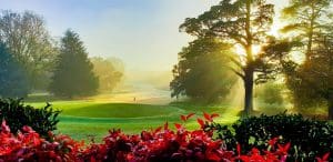Women's Golf Tuition
Golf Coaching
Golf Orange
Womens golf travel