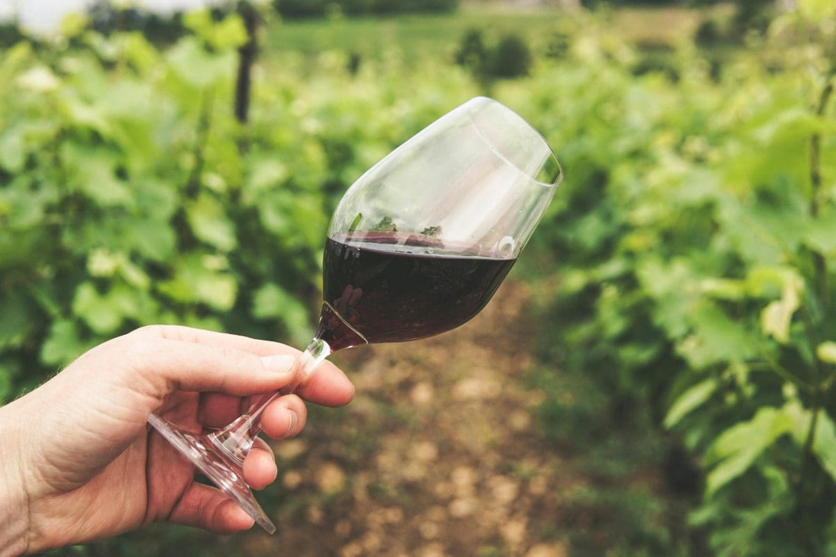 France Golf and Wine Tour