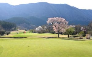 Golf in japan Golf tour japan play golf japan golf vacation golf holiday