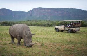 luxury small group golf tours,golf & tours,golf and safari,Safari South Africa,play golf in South Africa,golf tour in South Africa,