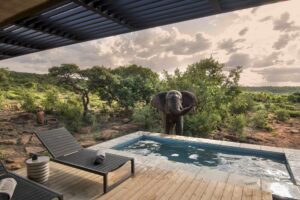 luxury small group golf tours, golf & tours, golf and safari, Safari South Africa, play golf in South Africa, golf tour South Africa,