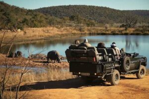 luxury small group golf tours, golf & tours, golf and safari, Safari South Africa, play golf in South Africa, golf tour in South Africa,